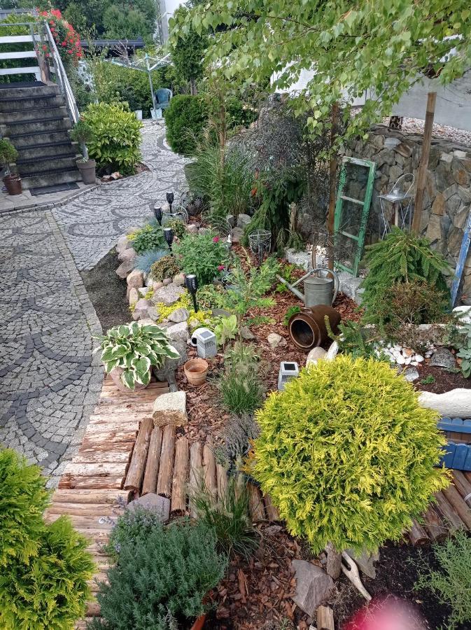 Pokoje Goscinne Cisowa Zielona Gora  Bagian luar foto