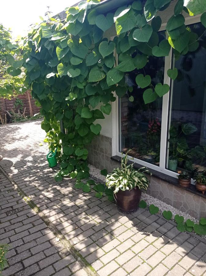 Pokoje Goscinne Cisowa Zielona Gora  Bagian luar foto